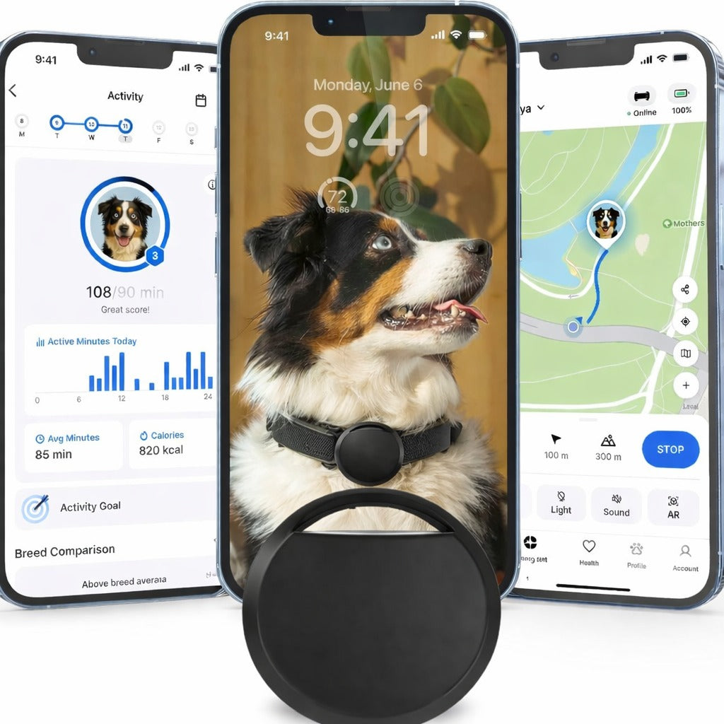 Calm GPS – Localizador para Mascotas